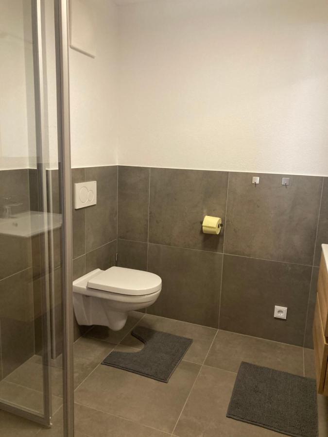 Appartement Stefanie Hollersbach im Pinzgau Exteriör bild